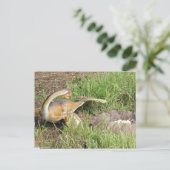 シティパティ – 恐竜学のカード ポストカード (スタンド正面)