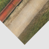 シティ-パームビーチFL -パームビーチフロリダ1905 薄葉紙 (詳細)