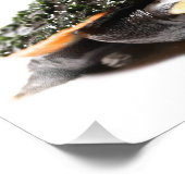 シデネックウミガメ フォトプリント            (角)