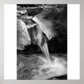 シデフロー ポスター (正面)