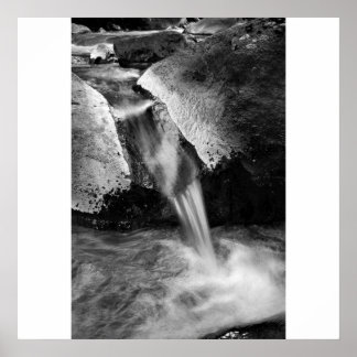 シデフロー ポスター