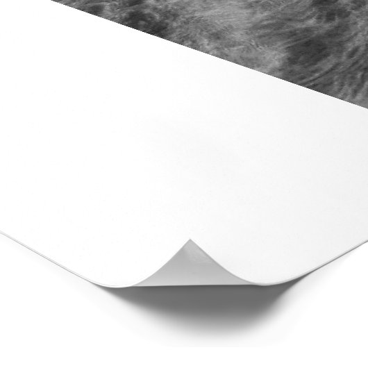 シデフロー ポスター (角)