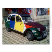 シトカラフルローン2 CV (正面横)