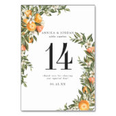 シトラスオーチャードボホボタニカルテーブルナンバーカード テーブルナンバー (正面)