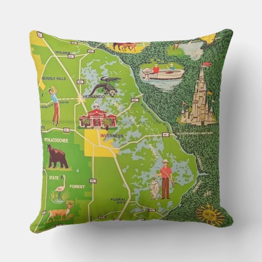 シトラスカウンティフロリ図解入りの、写真付きのダカスタムー枕 アウトドアクッション (裏面)