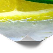 シトラスクイズ ポスター (角)