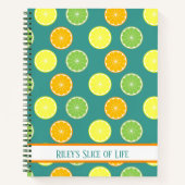 シトラススライスティール（緑がかった色）ブルー ノートブック (正面)