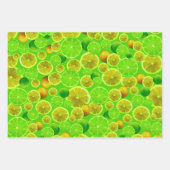 シトラスフルーツレモン&ライム パターン(の模様が)ある ラッピングペーパーシート (正面)