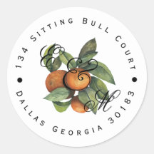 シトラスボタニカルオレンジグリーン