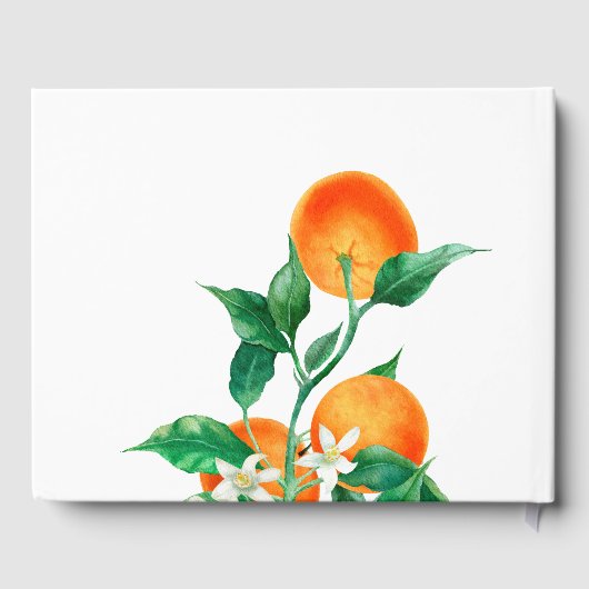 シトラスリトルかわいこちゃん男女兼用ベビーシャワー ゲストブック (裏面)