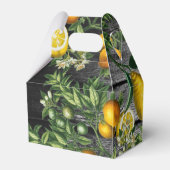 シトラス素朴ガーデン フェイバーボックス (裏面サイド)