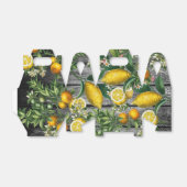 シトラス素朴ガーデン フェイバーボックス (折り畳みなし)