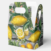 シトラス素朴ガーデン フェイバーボックス (オープン)