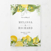 シトラス素朴レモンオーチャードオールインワン結婚ズ 三つ折り招待状 (カバー)