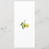 シトラレモンブライダルシャワー メニュー (裏面)