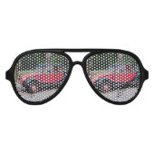 シトロエン2 CVチャールストン アビエーターサングラス (正面)