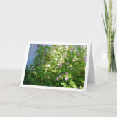 シトロネラフローラ カード (正面)