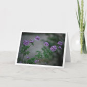 シトロネラ植物とフローラポートレート カード (正面)