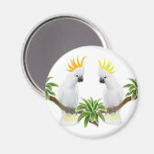 シトロンと硫黄コカトー磁石 マグネット (正面/裏面)