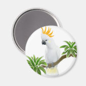 シトロンコカトー磁石 マグネット (正面/裏面)