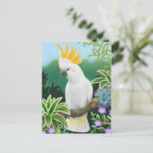 シトロンコカトー葉書 ポストカード (スタンド正面)