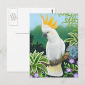 シトロンコカトー葉書 ポストカード (正面/裏面)