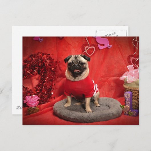 シドまたダンディはバレンタイン写真のティーズと贈り物 シーズンポストカード (正面/裏面)