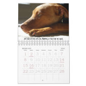 シドニーおよびZiggi 2009年 カレンダー (2月 2026)