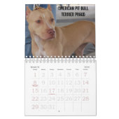 シドニーおよびZiggi 2009年 カレンダー (3月 2026)