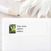 シドニーイエローナペドオウム ラベル (インサイチュ)