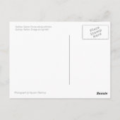 シドニーオペラハウスアットナイトフォール ポストカード (裏面)