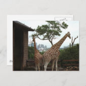 シドニーオペラハウスポストカード ポストカード (正面/裏面)