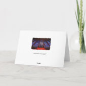 シドニーオルガン季節のごあいさつ シーズンカード (裏面)