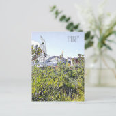 シドニーハーバーブリッジと先住民プラント ポストカード (スタンド正面)