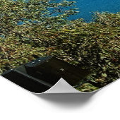 シドニーハーバーポスター ポスター (角)