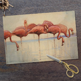 シドニーロングのフラミンゴ1917 薄葉紙