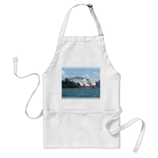 シドニー港 スタンダードエプロン (正面)