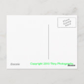 シドラーウォーター秋 ポストカード (裏面)