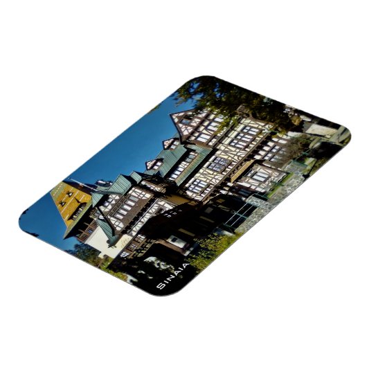 シナイ マグネット (左側)