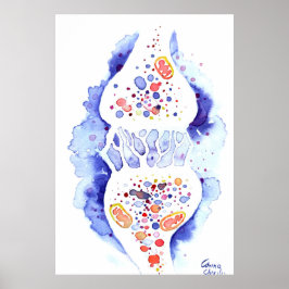 シナプスと神経インパルス ポスター