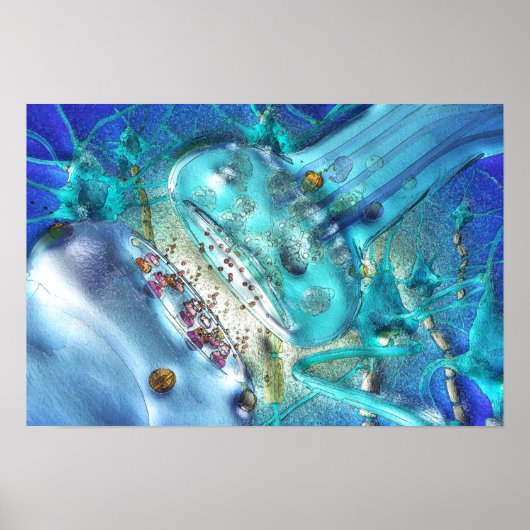 シナプスのポスター ポスター (正面)