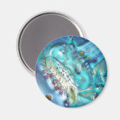 シナプス磁石 マグネット (正面/裏面)