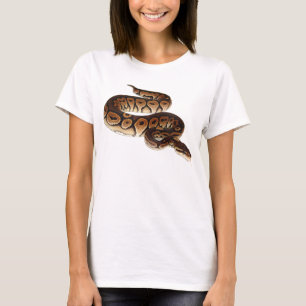 シナモンの球の大蛇 Tシャツ