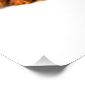 シナモンスティック フォトプリント            (角)