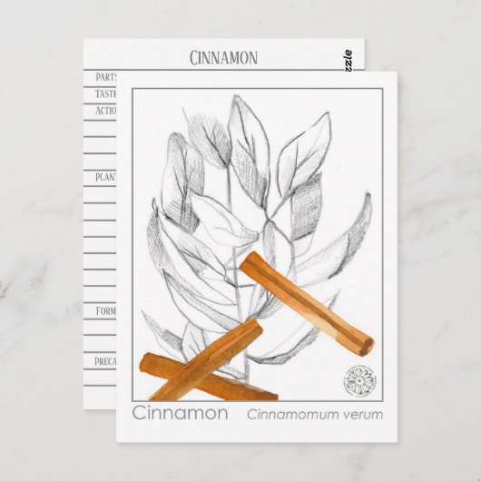 シナモンスパイスマテリアメディカモノグラフハーブ ポストカード (正面/裏面)