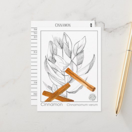 シナモンスパイスマテリアメディカモノグラフハーブ ポストカード (正面/裏面インサイチュ)