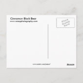 シナモンブラックベア ポストカード (裏面)