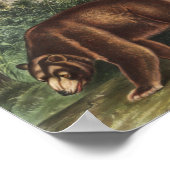 シナモンベア(Ursus Americanus var.シナモン) ポスター (角)