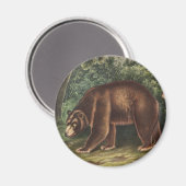 シナモンベア(Ursus Americanus var.シナモン) マグネット (正面/裏面)