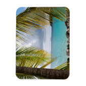 シナモンベイ， St. John, USVIマグネット マグネット (縦)